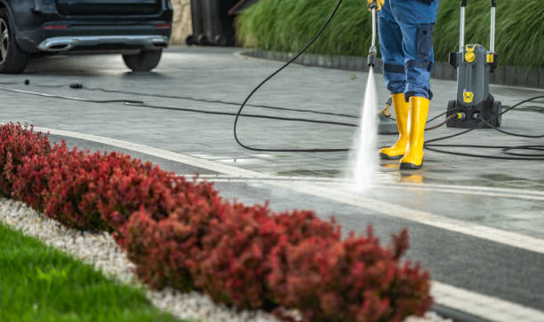 Trusted Mount Oliver, PA Pressure washing Experts